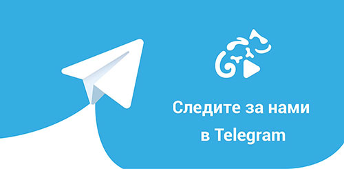 канал в telegram 78.sprav4ki.ru